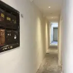Standing Historic Apartment Lyon