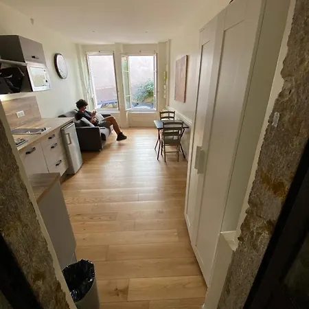 Standing Historic Apartment Lyon