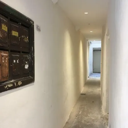 Standing Historic Apartment Lyon